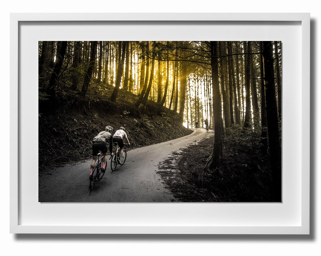 Beardy Classics Print 6 - Kyushu Japan