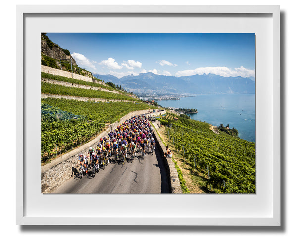 Le Tour de France Femmes 2026 Print 5