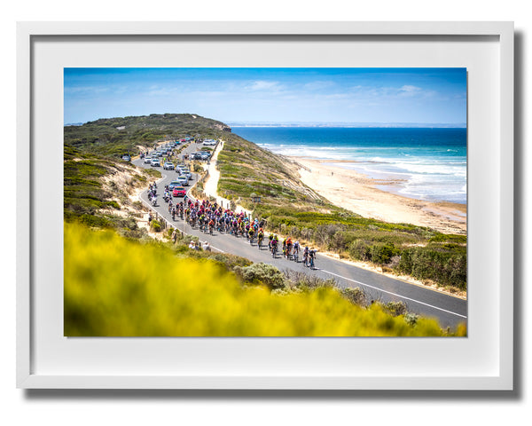 Australia Print 12 - Cadel Evans Great Ocean Road Race 2019