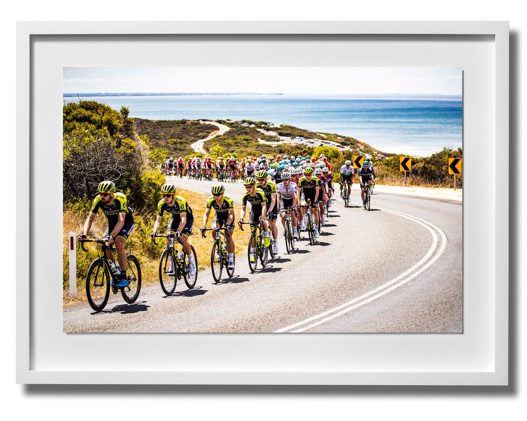 Australia Print 14 - Cadel Evans Great Ocean Road Race 2019