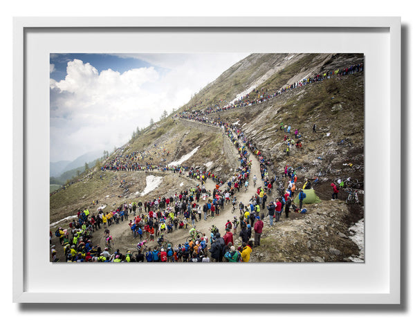 Beardy Classics Print 15 - Giro d'Italia 2015
