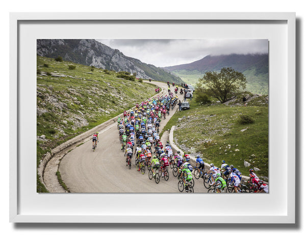 Giro d'Italia 2016 Print 5