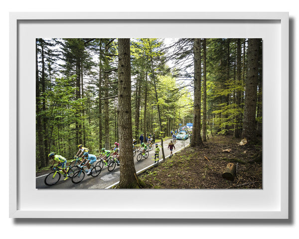 Giro d'Italia 2016 Print 9