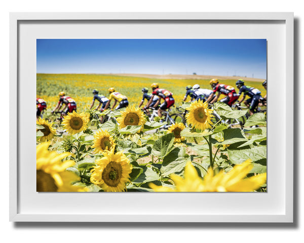 Le Tour de France Print 8